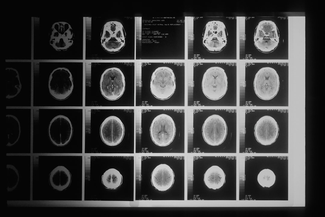 AI 기술이 적용된 MRI 장비로 동물을 검사하는 장면
