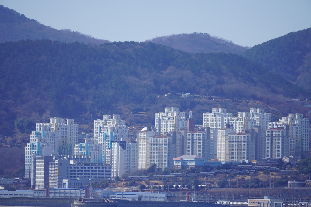 한국 주식 시장의 하락세를 상징하는 그래프 이미지