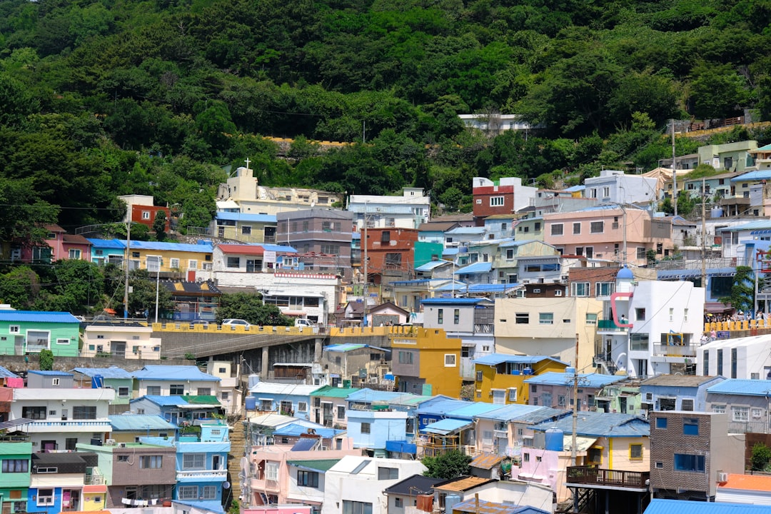 한국 정부 건물과 함께 사회 복지 정책을 상징하는 이미지